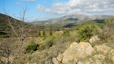 FEUILLA - MONTOLIER DE PERELLOS-aude