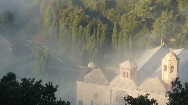 FONTFROIDE - BOIS DU VICOMTE-aude