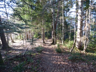 TOUR DU PECH DE MONTMIJA-aude
