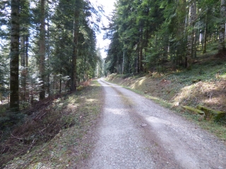 TOUR DU BOIS DU PINET ET DU PLA DES AILS-aude