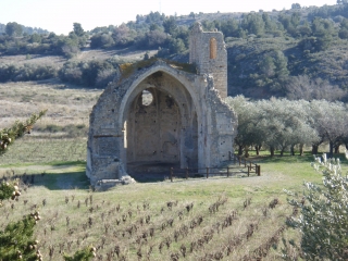 PORTEL-DES-CORBIERES (VARIANTE)-aude