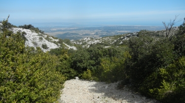 CORBIERES - LE PIC DU PIED DU POUL-aude
