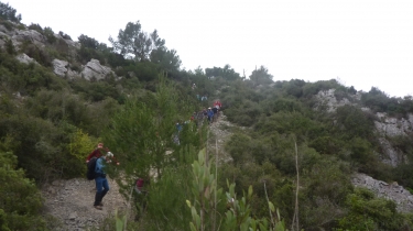 GARRIGUE DE FIGUIERES-aude
