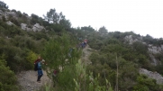 GARRIGUE DE FIGUIERES-aude