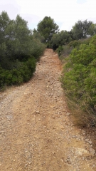 COMBE DE LAS GRAOULOS EST - PIC DE POUL-aude
