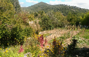 CHATEAU DE PEYREPERTUSE - BOUCLE DE 10KM-aude