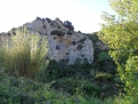FEUILLA - PLA DE MEZERAC-aude