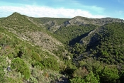 TRASSANEL  - FOURNES-CABARDES-aude