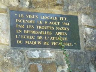 FORET DE PICAUSSEL-aude