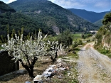 SENTIER DE LA TRUFFE - DEPUIS VILLENEUVE-MINERVOIS-aude