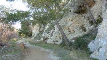 ILE SAINT-MARTIN-aude