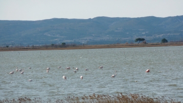 ILE SAINT-MARTIN-aude