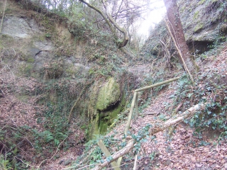 MONTREAL D AUDE (2)-aude