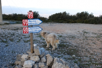 LE ROC GRIS -  ALARIC-aude