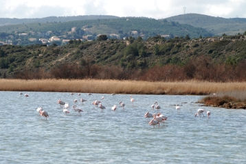 ANSE DE GALèRE-aude