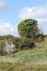 ANSE DE GALèRE-aude