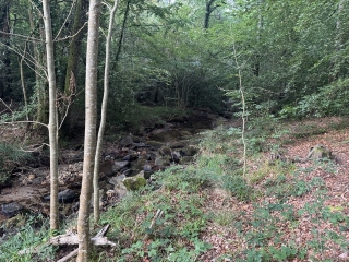 ARFONS - LA PRISE D ALZEAU LONG-aude