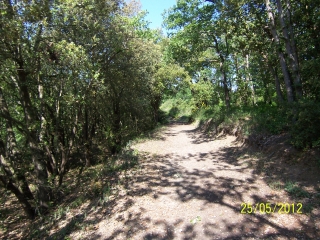 MONTREAL - FANJEAUX-aude