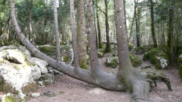 SENTIER NATURE DE NEBIAS-aude
