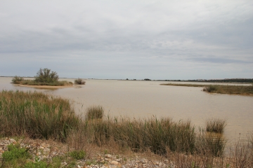 LES CABANES DE FLEURY - ST PIERRE LA MER-aude