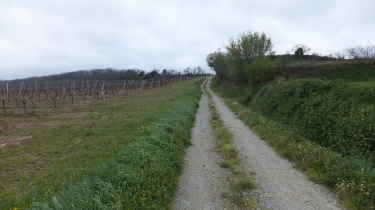 VIGNOBLES DE LA MALEPERE-aude