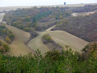 VILLASAVARY - FANJEAUX-aude
