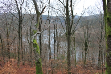 RIGOLE DE LA MONTAGNE NOIRE-aude