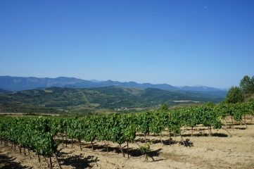 ESPERAZA - CHAPELLE DE CROUX-aude
