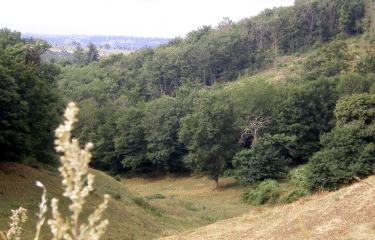 Au coeur du Segala-aveyron
