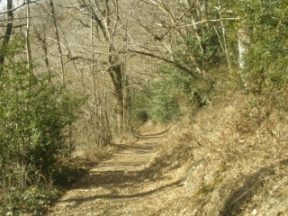 COLOMBIES - VALLEE DE ZAHEAUX-aveyron