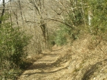 COLOMBIES - VALLEE DE ZAHEAUX-aveyron