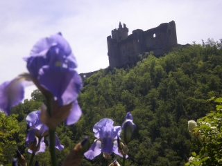 NAJAC - GORGES DE L AVEYRON-aveyron