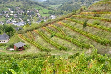 MARCILLAC - ST-JEAN-LE-FROID-aveyron