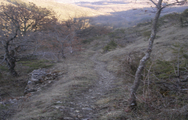 Le Vallon de MARCILLAC-aveyron