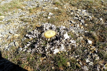 LA BLAQUIERE-aveyron