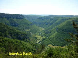 MILLAU - POUNCHO AGAST -aveyron
