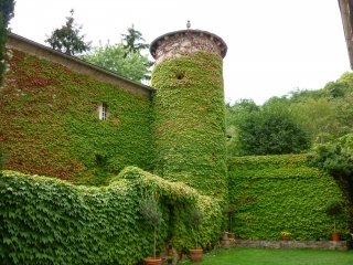 CASTELNAU-PEGAYROLS (2)-aveyron