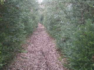 GALINIERES PIERREFICHE-aveyron