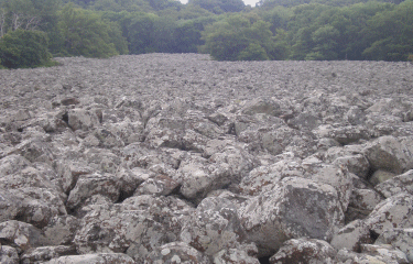 St Come d Olt -  Roquelaure-aveyron