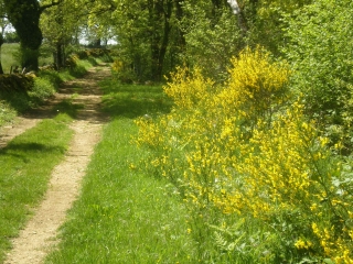 PLATEAU DU LARZAC - MONTREDON - SAINT SAUVEUR