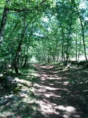 ST-SATURNIN-DE-LENNE - CHEMIN DE MONTAGNAC-aveyron