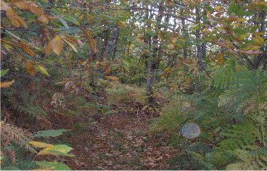 ESCANDOLIERES-aveyron