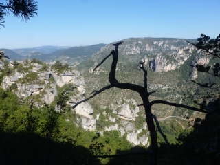 CORNICHE DU CAUSSE NOIR-aveyron