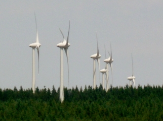 LES CANABIERES - COL DE LA VERNHETTE-aveyron