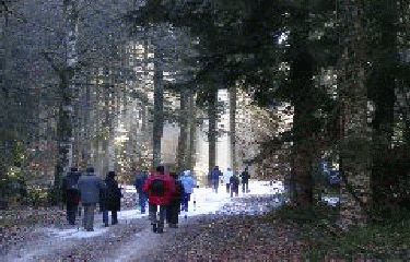 COMPS LA GRAND-VILLE-aveyron