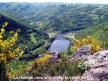 LA VINZELLE PAR LA BECARIE-aveyron