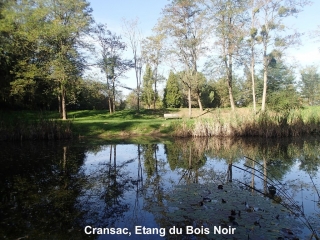 CRANSAC - LE BOIS NOIR - ETANG DU GUA-aveyron