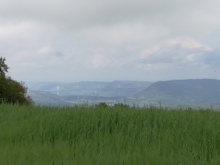 LE VIALA-DU-TARN - LE MINIER 