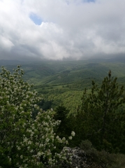 LE VIALA-DU-TARN - LE MINIER -aveyron