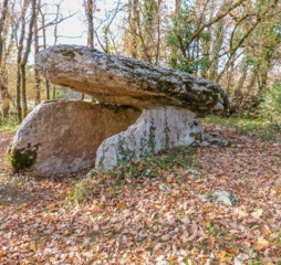DOLMENS ET PAYSAGE CAUSSENARD-aveyron